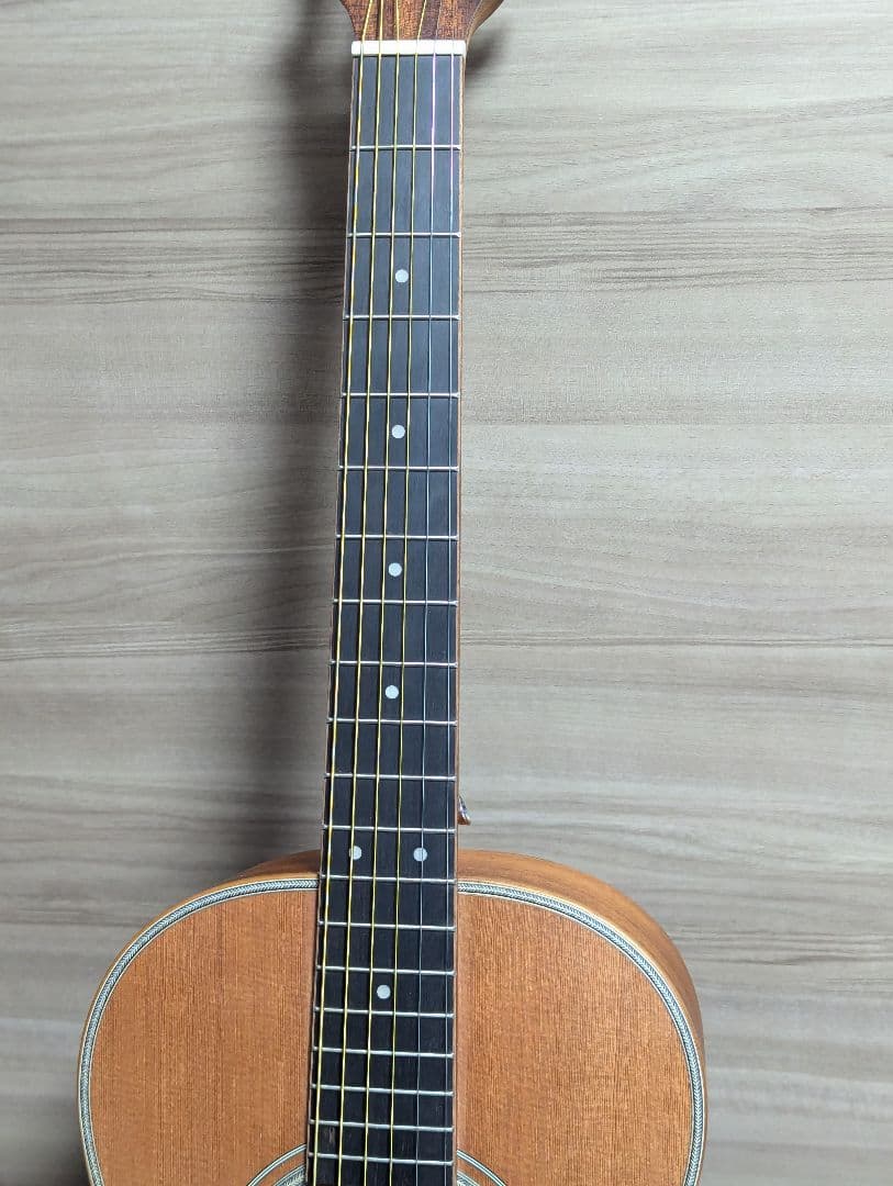 KALA KA-GTR-PLR パーラーギター シダー単板