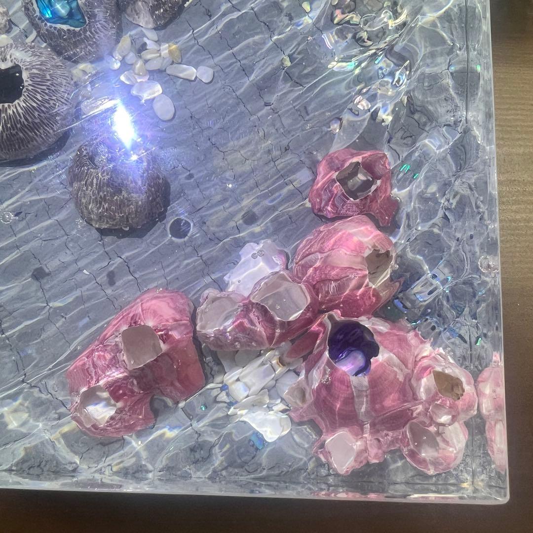 【波紋アート】Real Ocean／barnacle／フジツボ／15cmプリズム