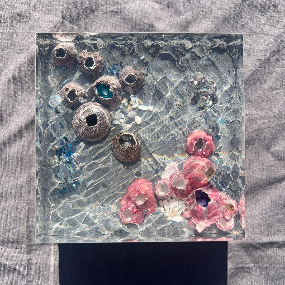 【波紋アート】Real Ocean／barnacle／フジツボ／15cmプリズム