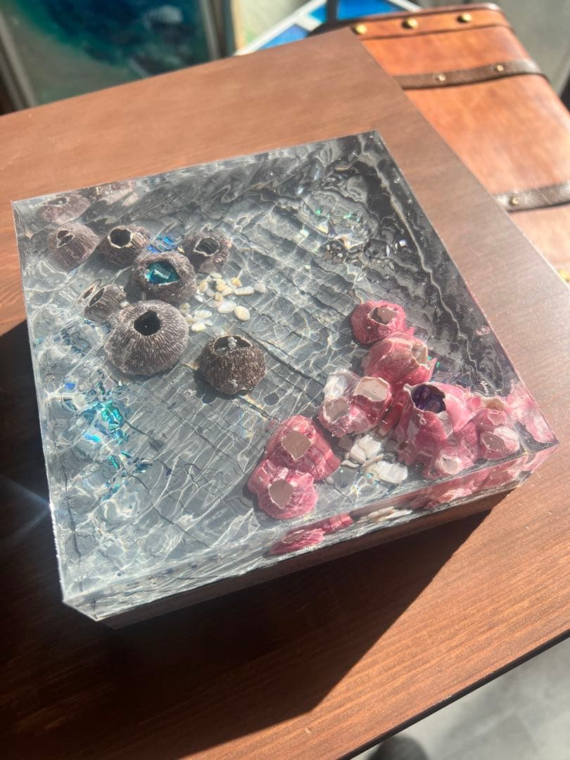 【波紋アート】Real Ocean／barnacle／フジツボ／15cmプリズム