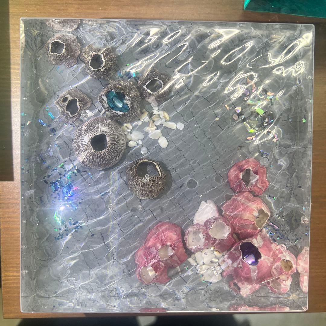 【波紋アート】Real Ocean／barnacle／フジツボ／15cmプリズム