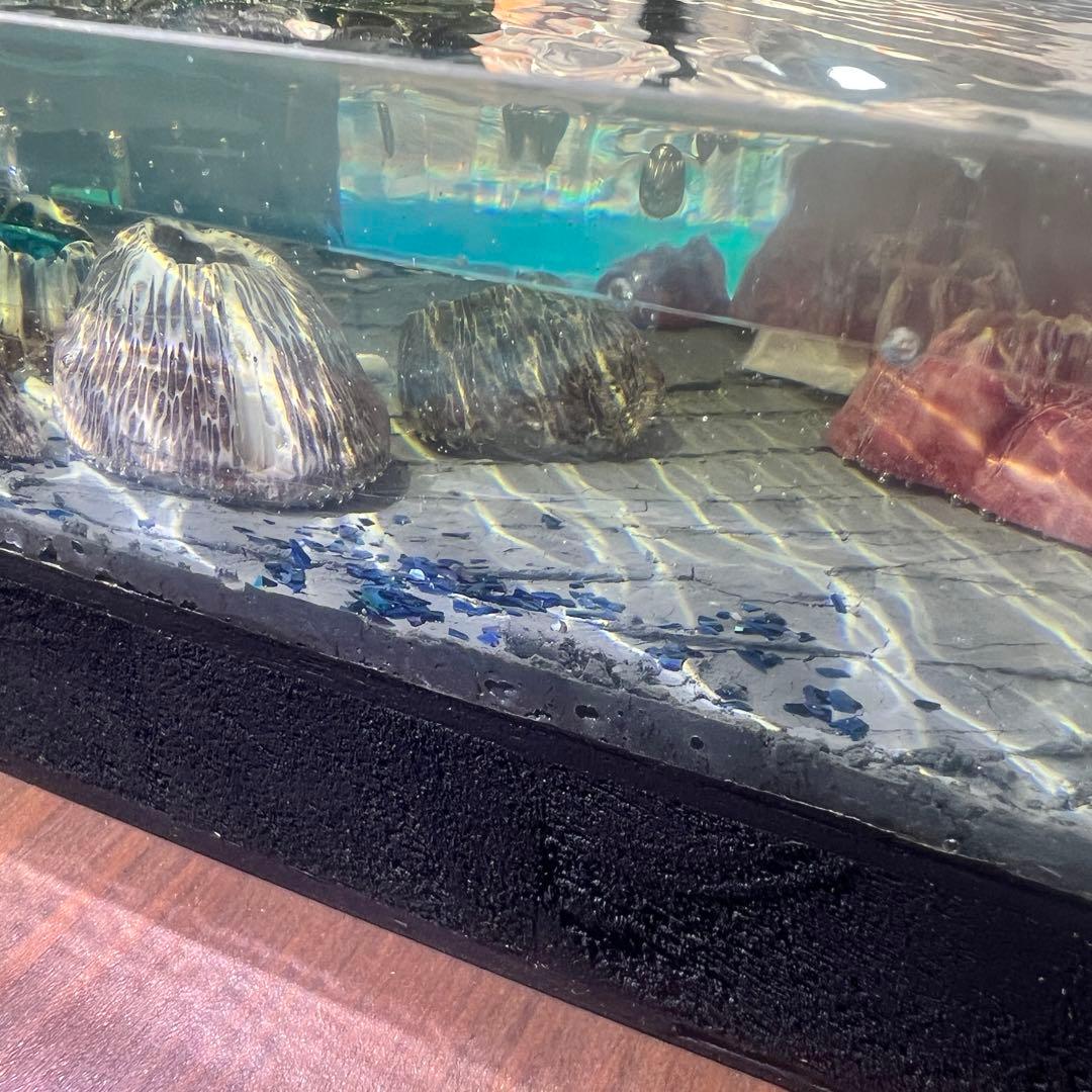 【波紋アート】Real Ocean／barnacle／フジツボ／15cmプリズム