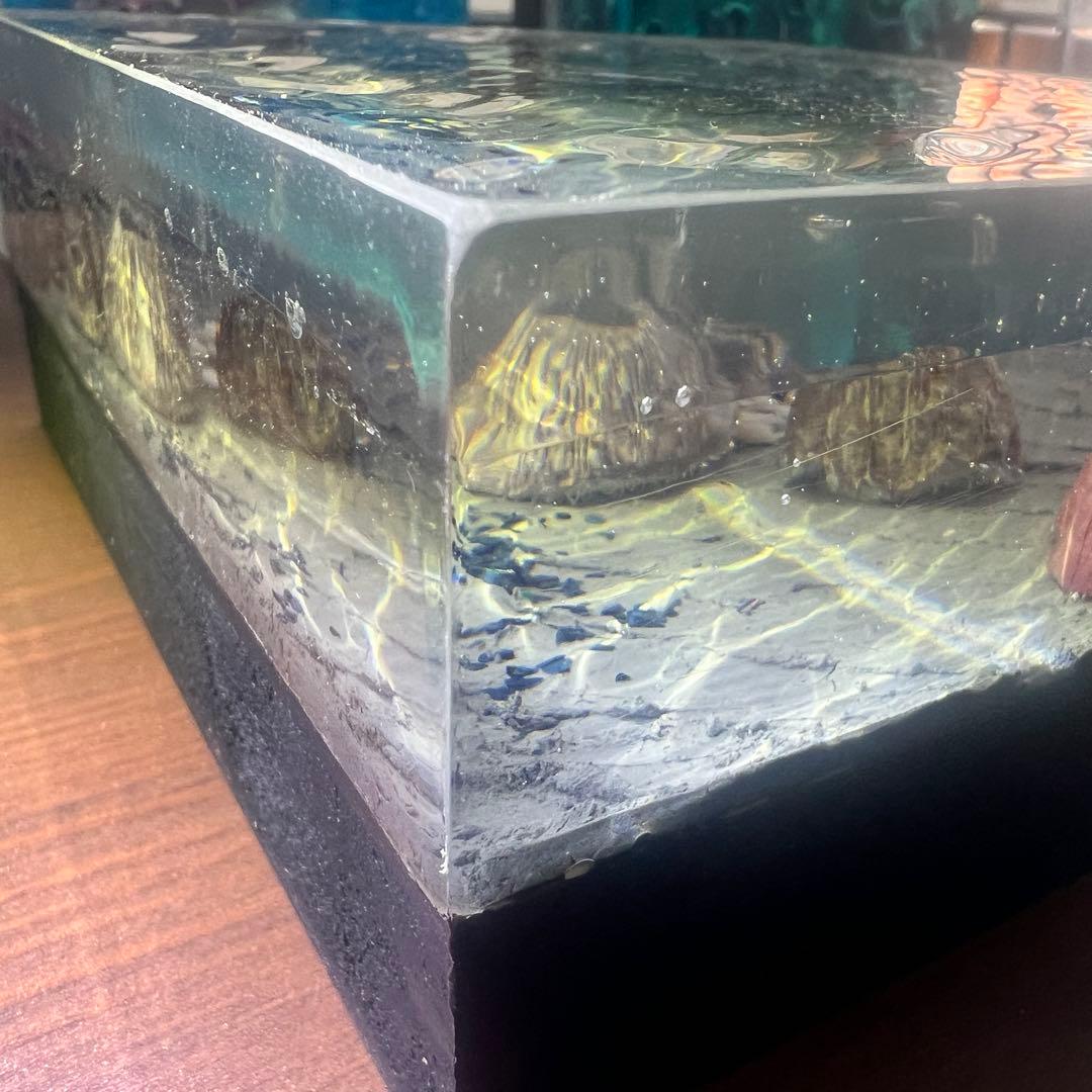 【波紋アート】Real Ocean／barnacle／フジツボ／15cmプリズム