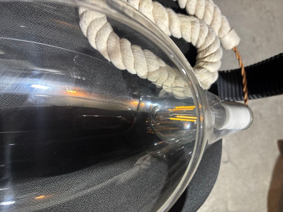 エアプランツ付きドロップ型LEDランプ付き　アンティーク