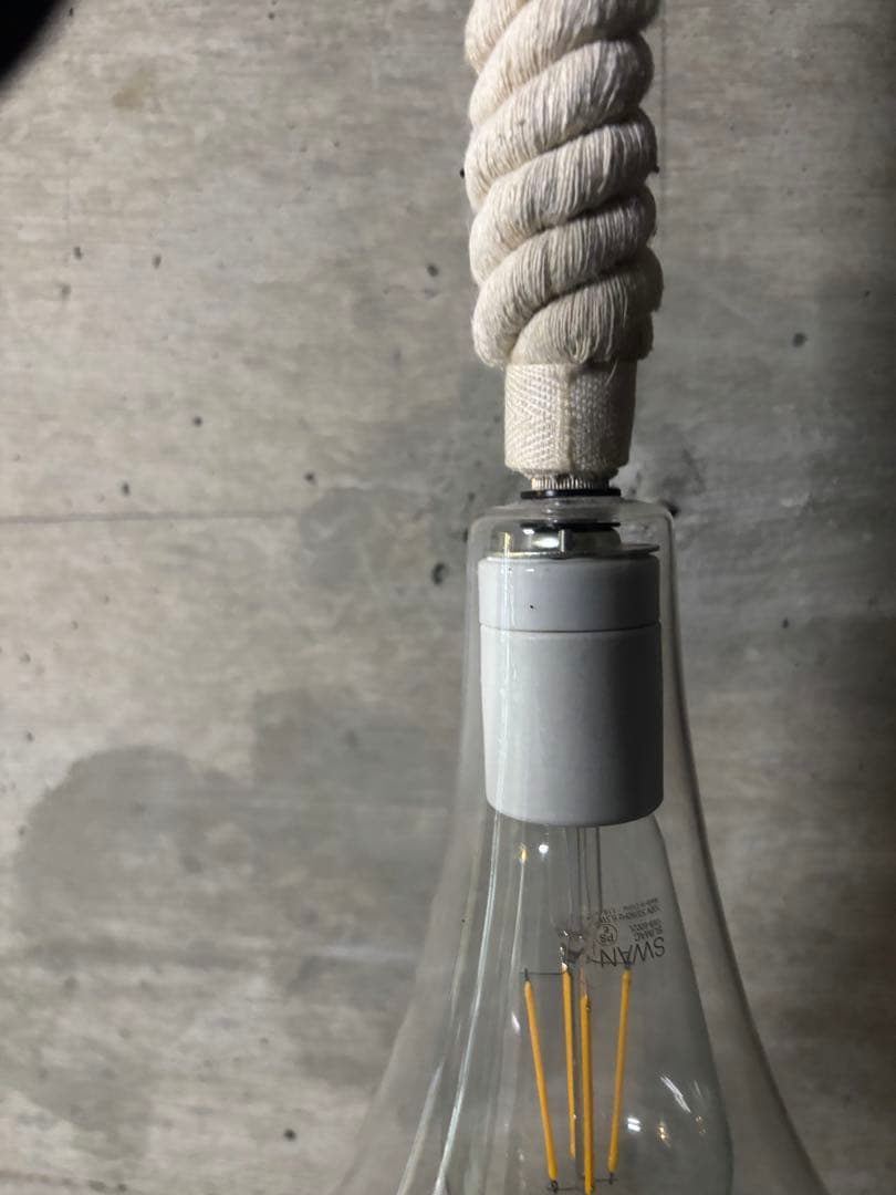 エアプランツ付きドロップ型LEDランプ付き　アンティーク