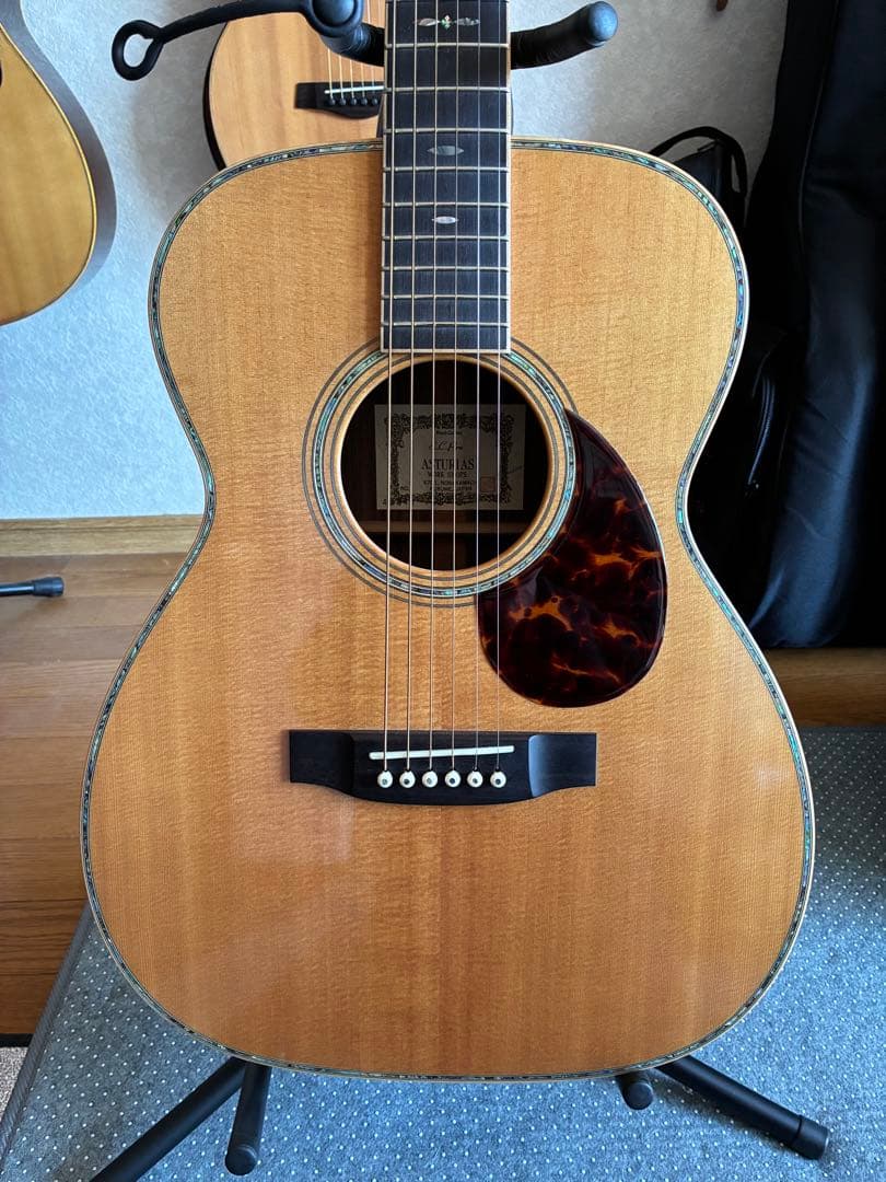 ASTURIAS EC-PRO 美品