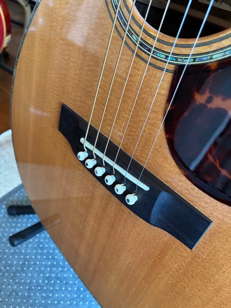 ASTURIAS EC-PRO 美品