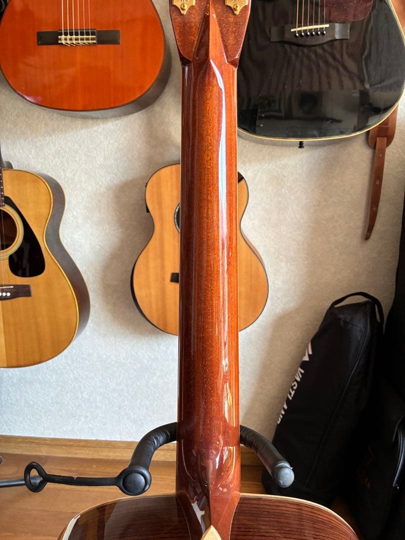 ASTURIAS EC-PRO 美品