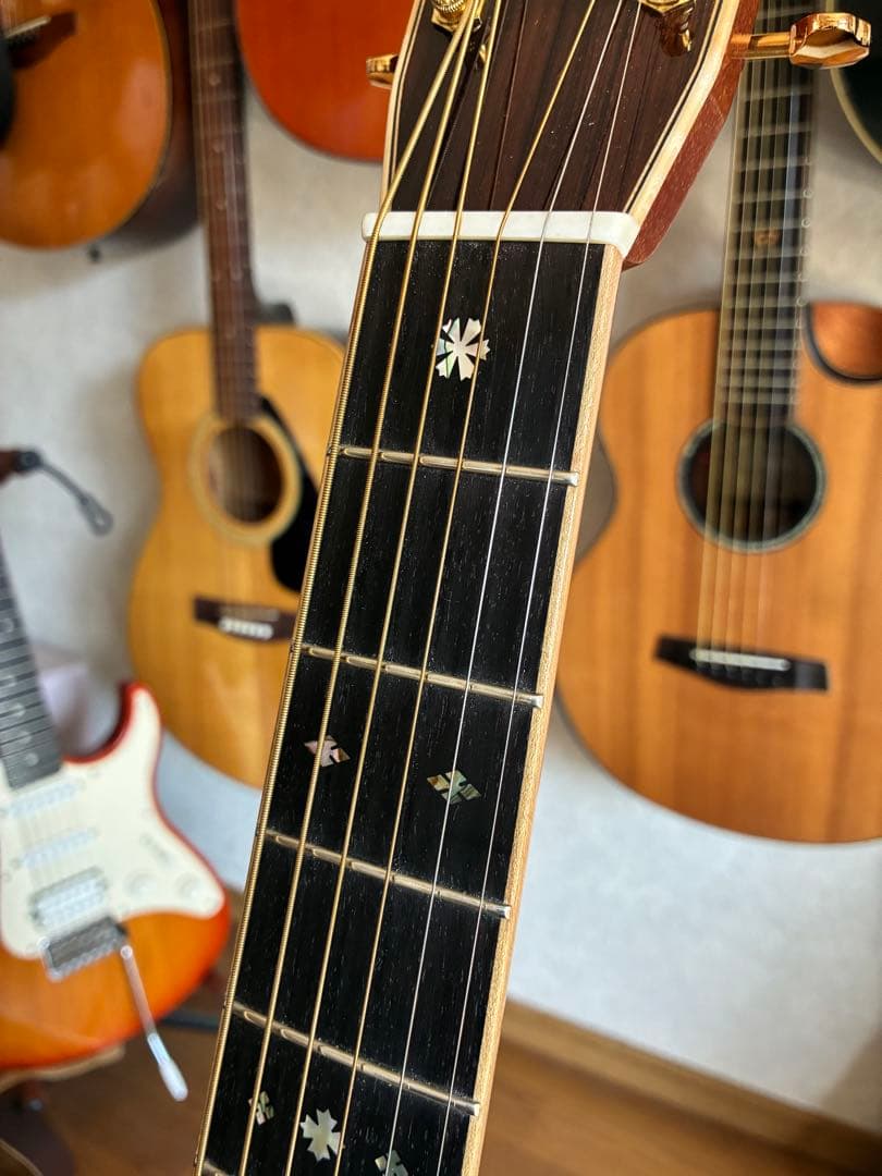 ASTURIAS EC-PRO 美品