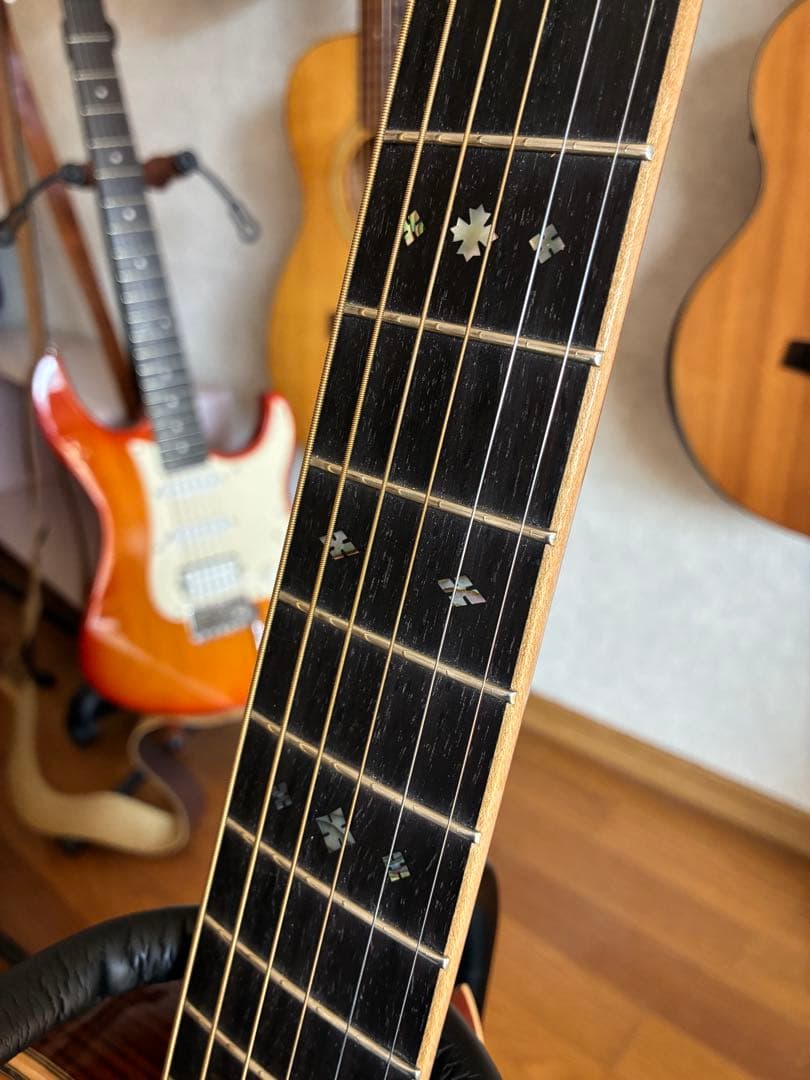 ASTURIAS EC-PRO 美品