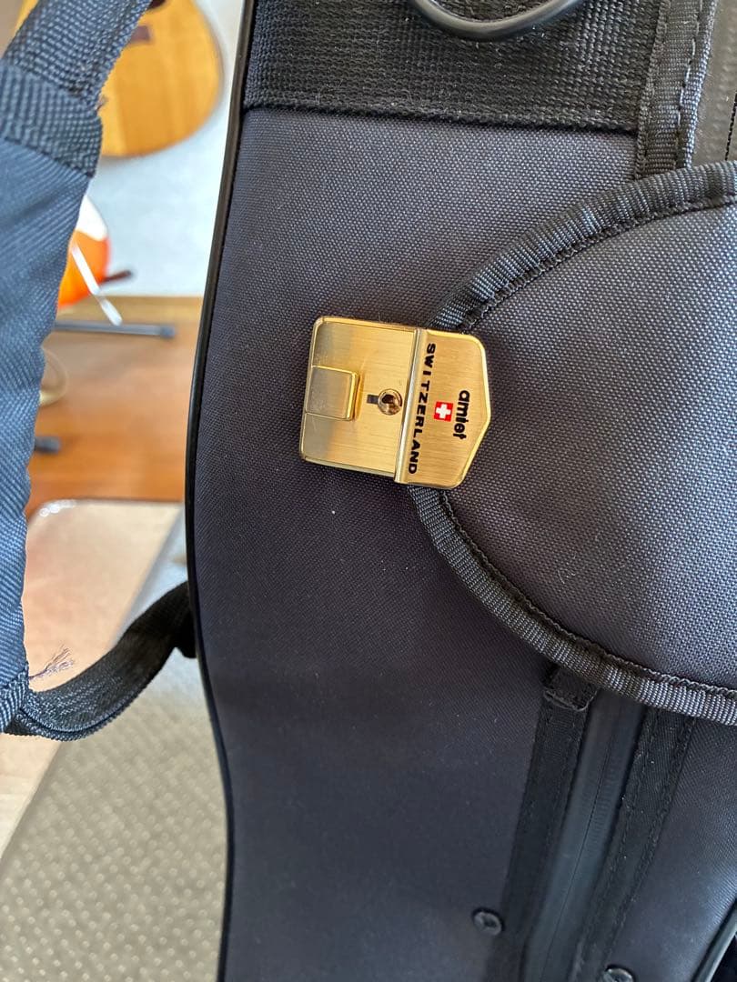 ASTURIAS EC-PRO 美品