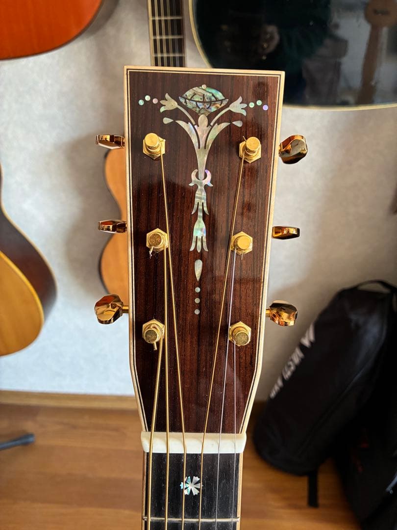 ASTURIAS EC-PRO 美品