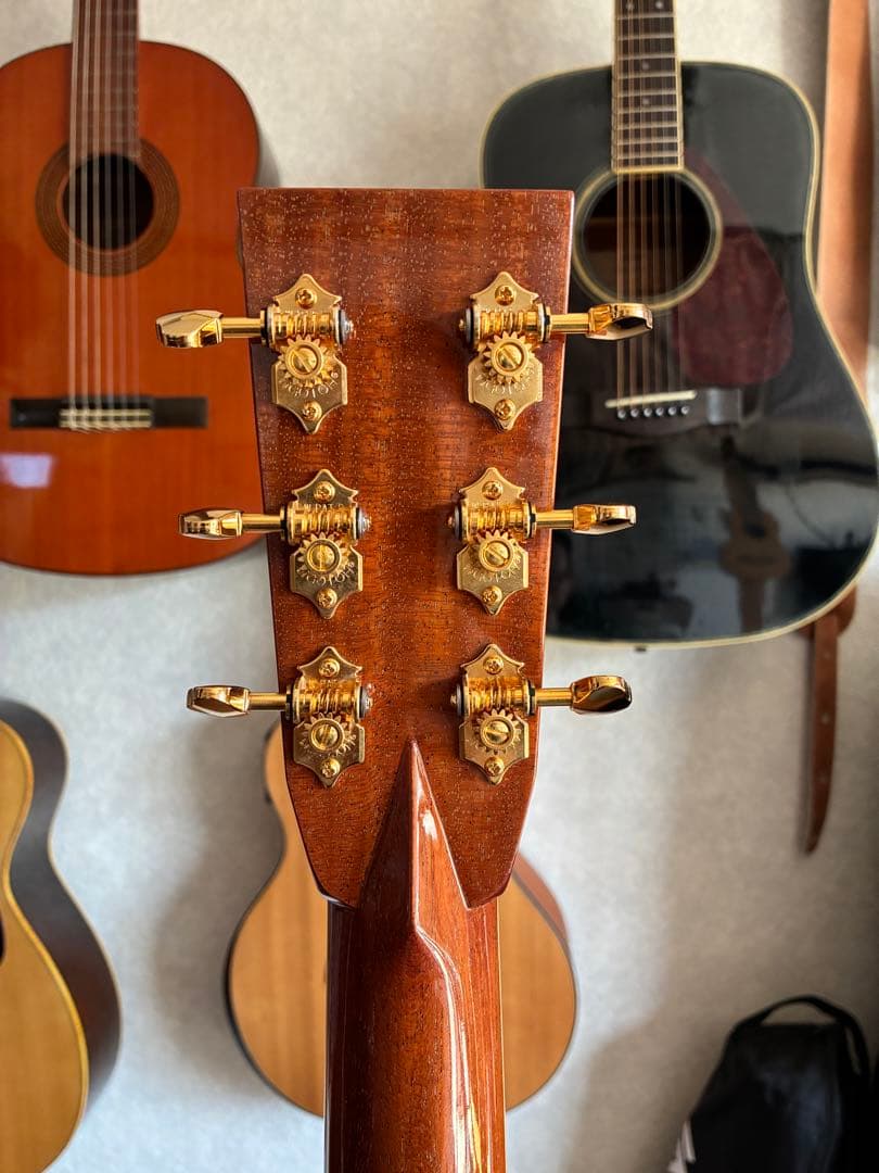 ASTURIAS EC-PRO 美品