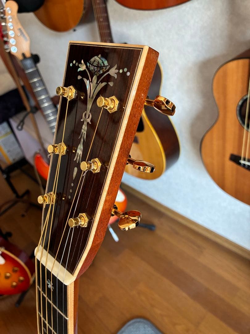 ASTURIAS EC-PRO 美品