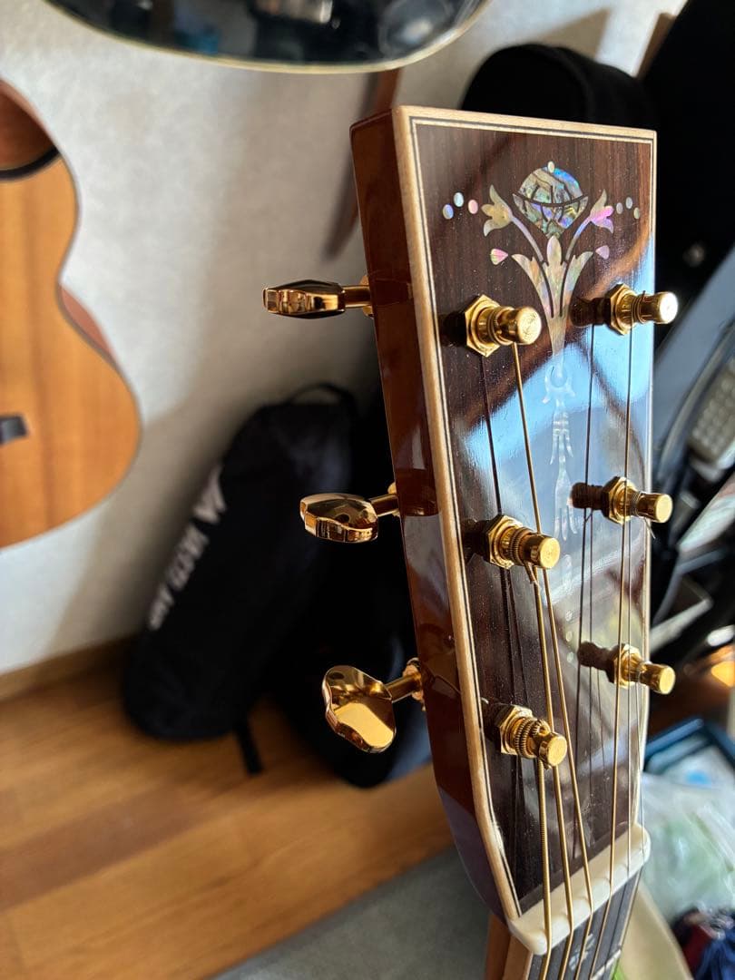 ASTURIAS EC-PRO 美品