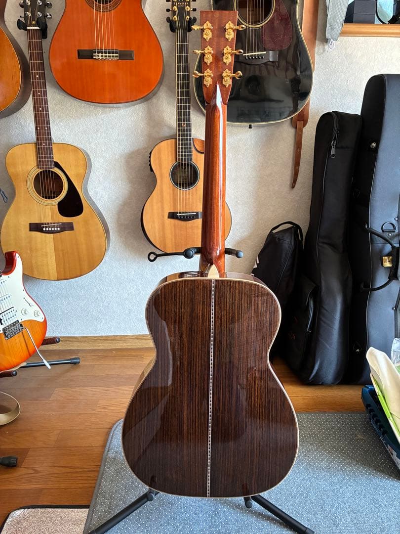 ASTURIAS EC-PRO 美品