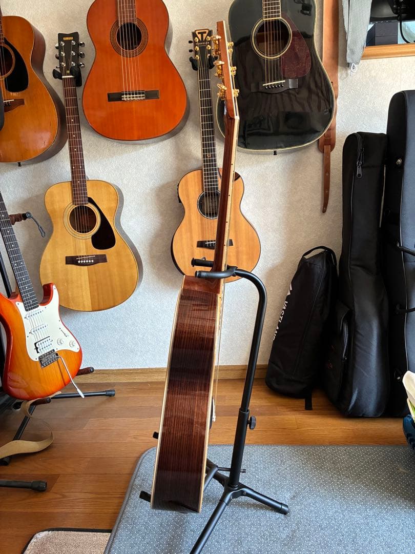 ASTURIAS EC-PRO 美品