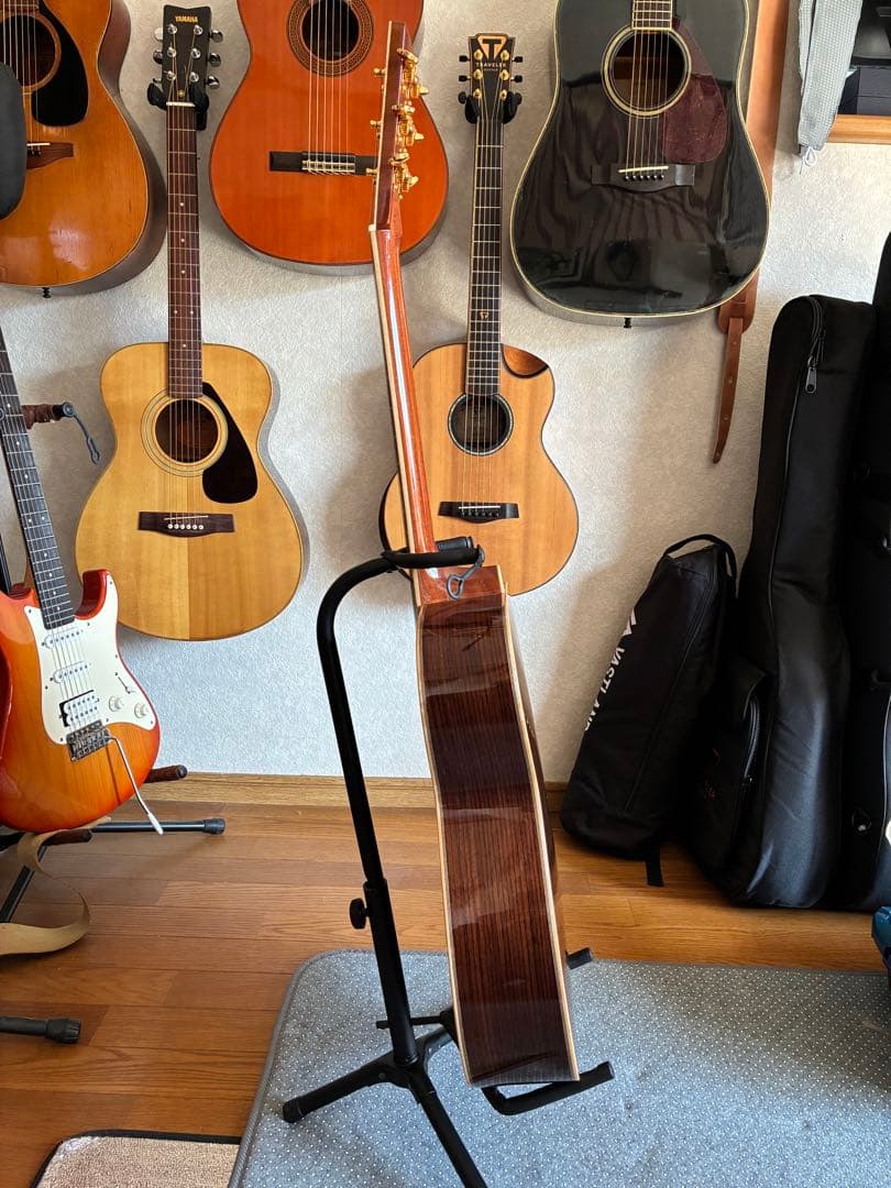 ASTURIAS EC-PRO 美品