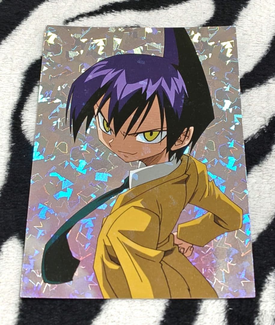 希少!! シャーマンキング ブロマイドカード 6種類セット 6種SP バラ売❌️