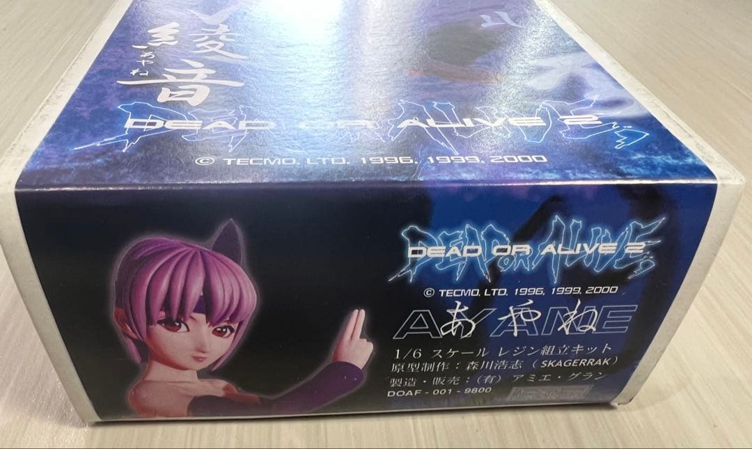 アミエグラン1/6 綾音 DEAD OR ALIVE 2　未組み立てレジンキット