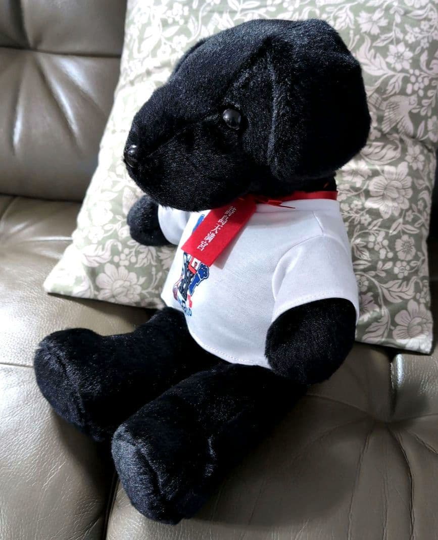 【新品】さだまさし50周年記念　完全予約受注生産　詩之助ぬいぐるみ　色紙オマケ