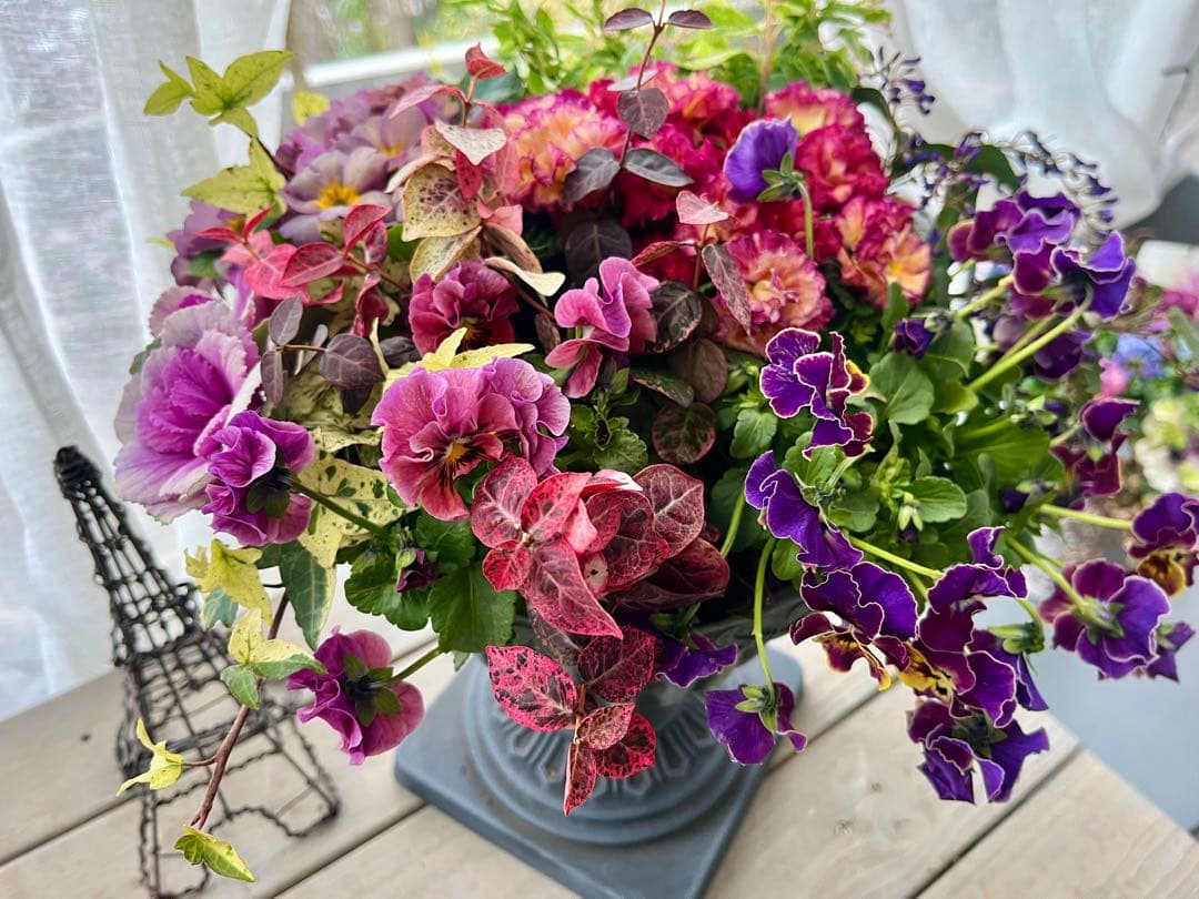 フォロー割300円OFF❣️インパクトあります❣️360°可愛い寄せ植え❣️