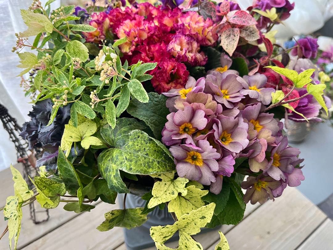 フォロー割300円OFF❣️インパクトあります❣️360°可愛い寄せ植え❣️