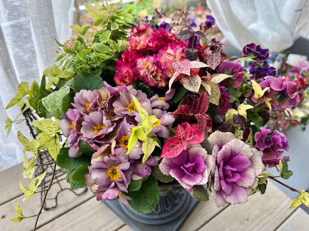 フォロー割300円OFF❣️インパクトあります❣️360°可愛い寄せ植え❣️