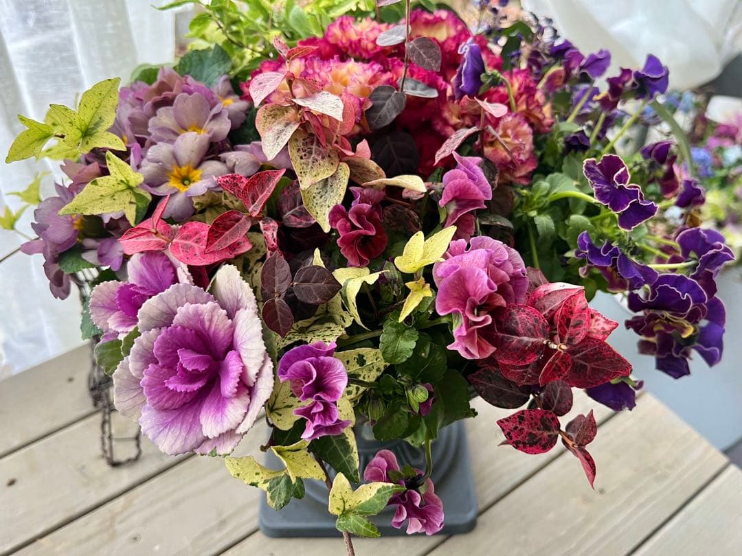 フォロー割300円OFF❣️インパクトあります❣️360°可愛い寄せ植え❣️