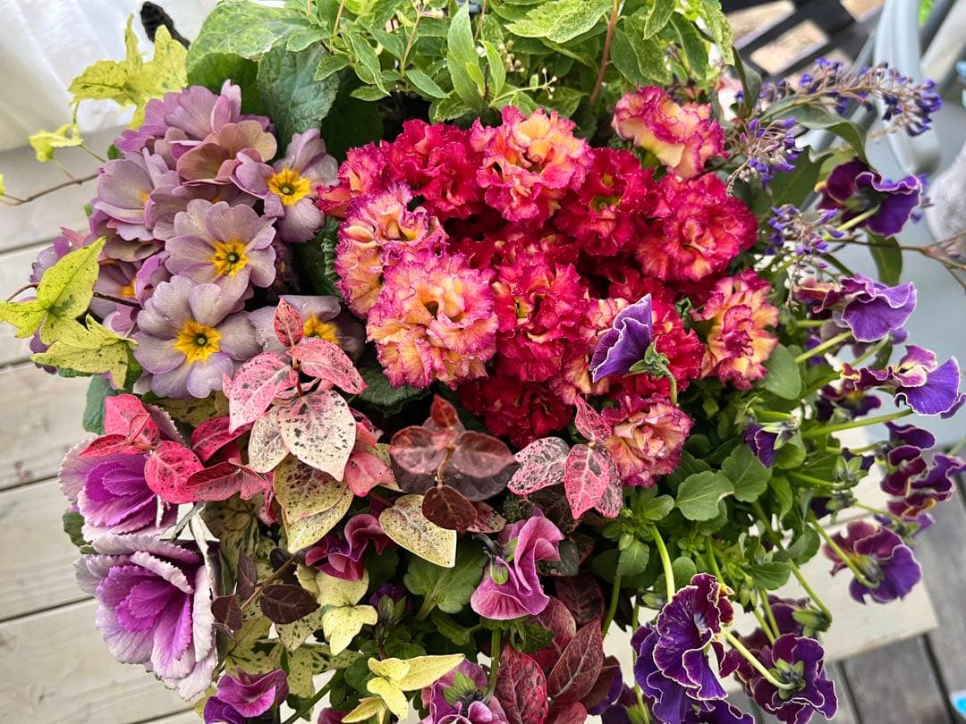 フォロー割300円OFF❣️インパクトあります❣️360°可愛い寄せ植え❣️