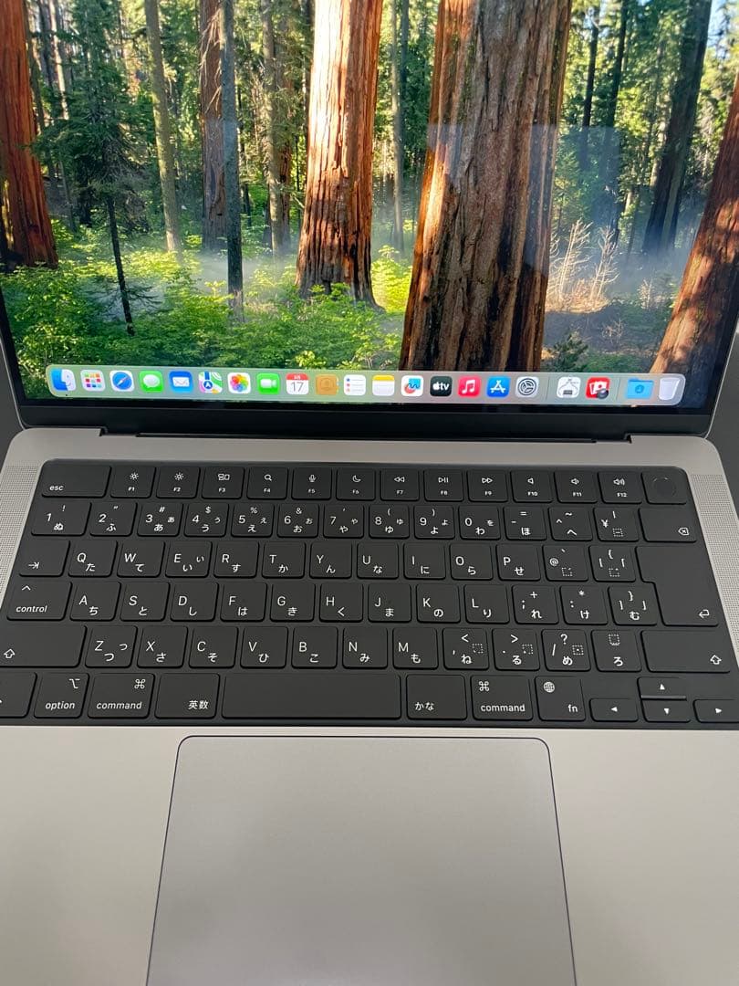 MacBook Pro Apple M1 Max メモリ64GB SSD1TB