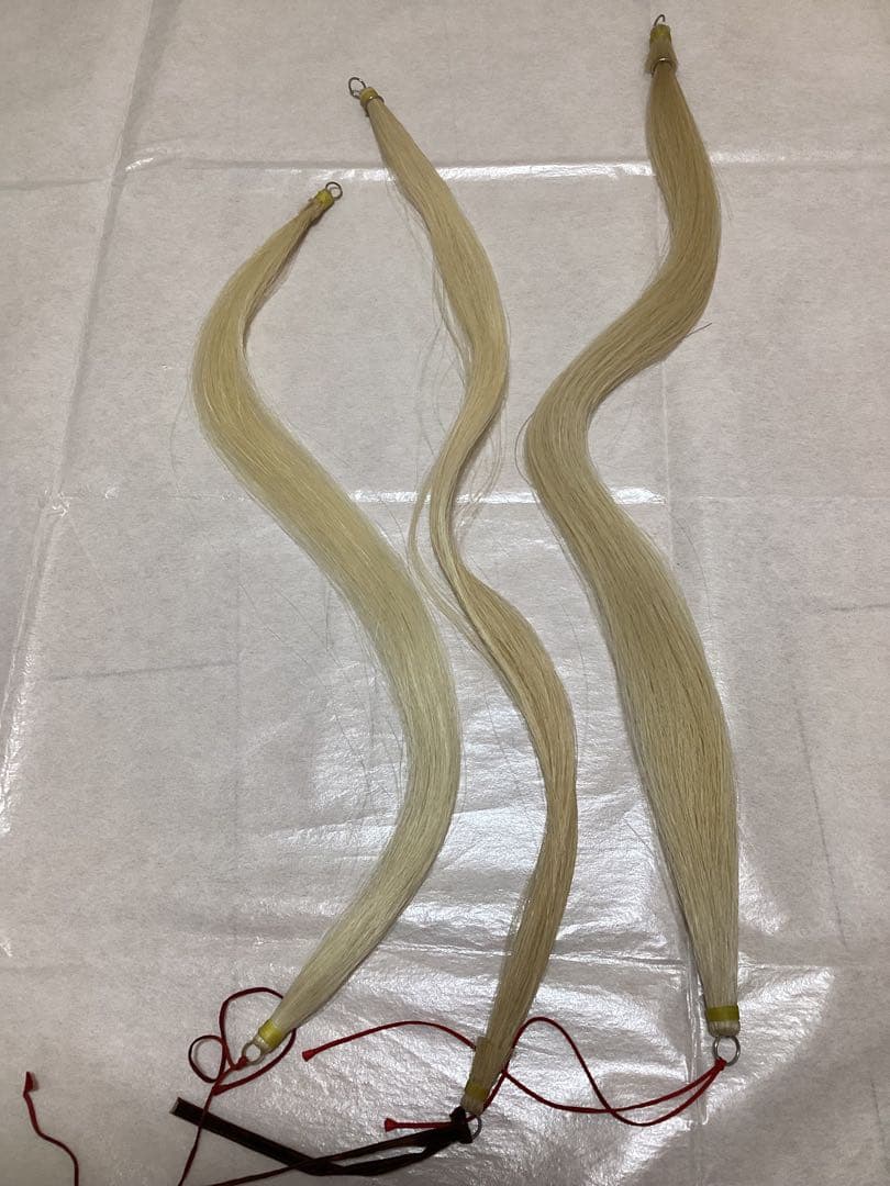 胡弓　ハードケース付き　弦楽器　和楽器