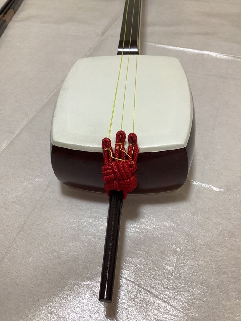 胡弓　ハードケース付き　弦楽器　和楽器