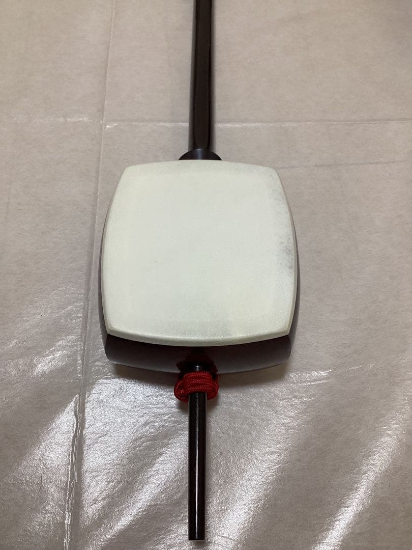 胡弓　ハードケース付き　弦楽器　和楽器