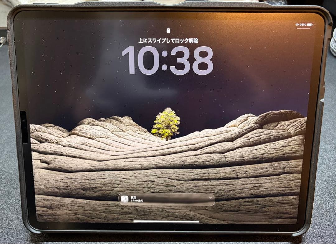 【最終値下げ】【美品】iPad Pro12.9インチWi-Fi 1TB 第4世代