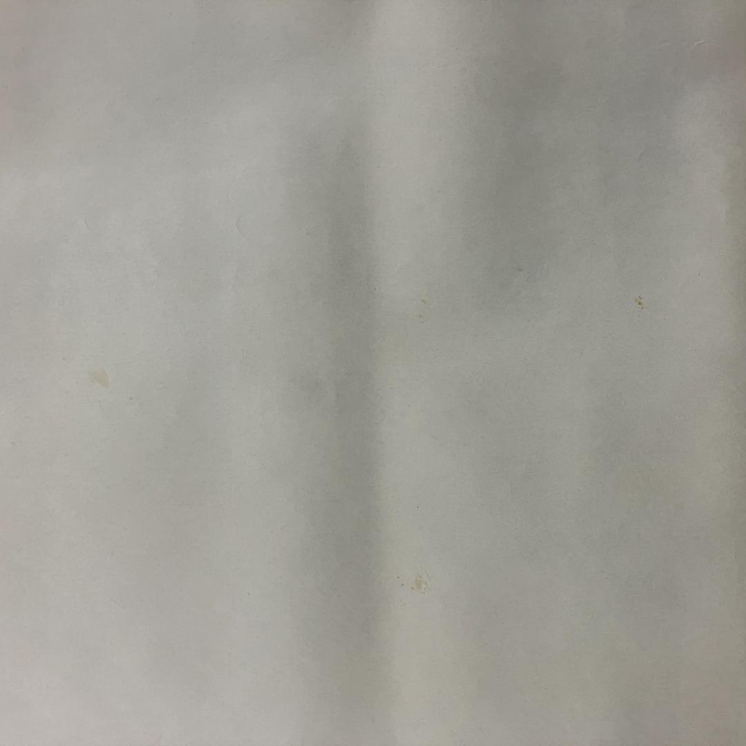 ビートルズ ポスター 横 モノクロ 東芝EMI R8SB346