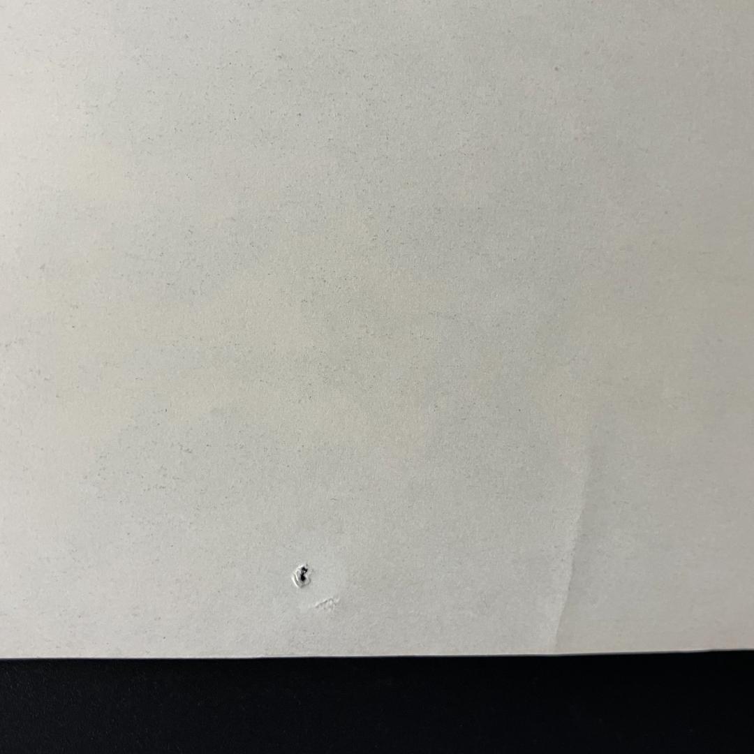 ビートルズ ポスター 横 モノクロ 東芝EMI R8SB346