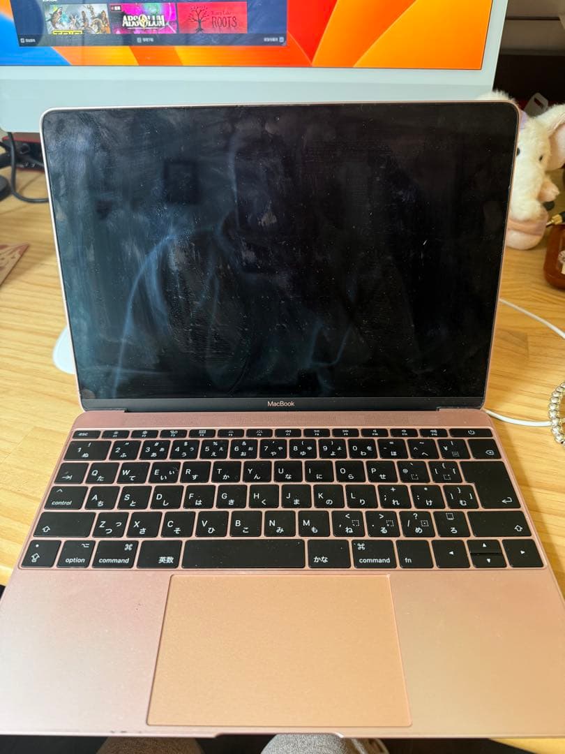 MacBook 12インチ pink, m3 8GB/256GB