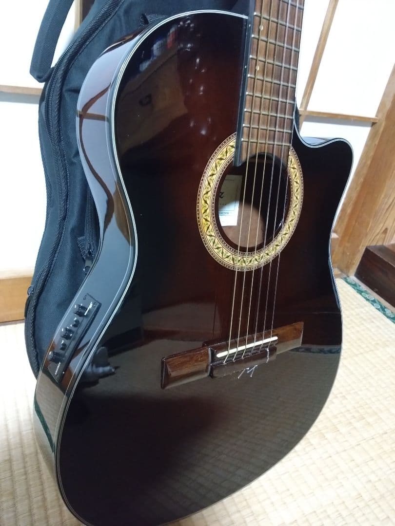Ibanez ga30tce アコースティックギター エレアコ エレガット