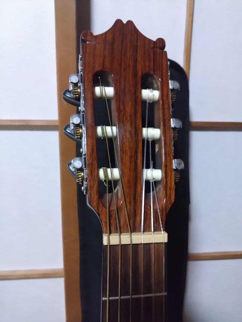 Ibanez ga30tce アコースティックギター エレアコ エレガット