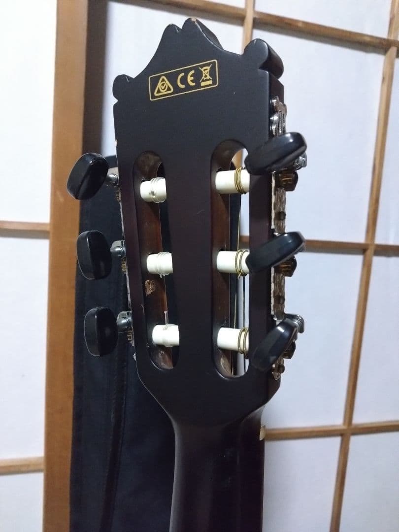 Ibanez ga30tce アコースティックギター エレアコ エレガット