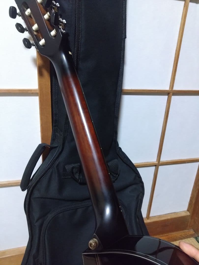 Ibanez ga30tce アコースティックギター エレアコ エレガット