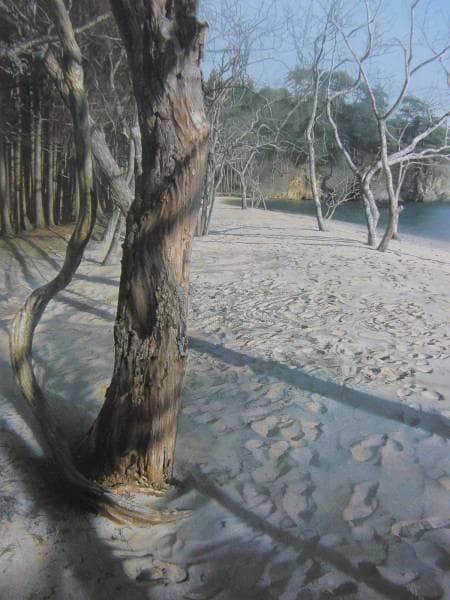 安彦 文平 「九九鳴き浜の蘇生」、希少画集より、新品額装付