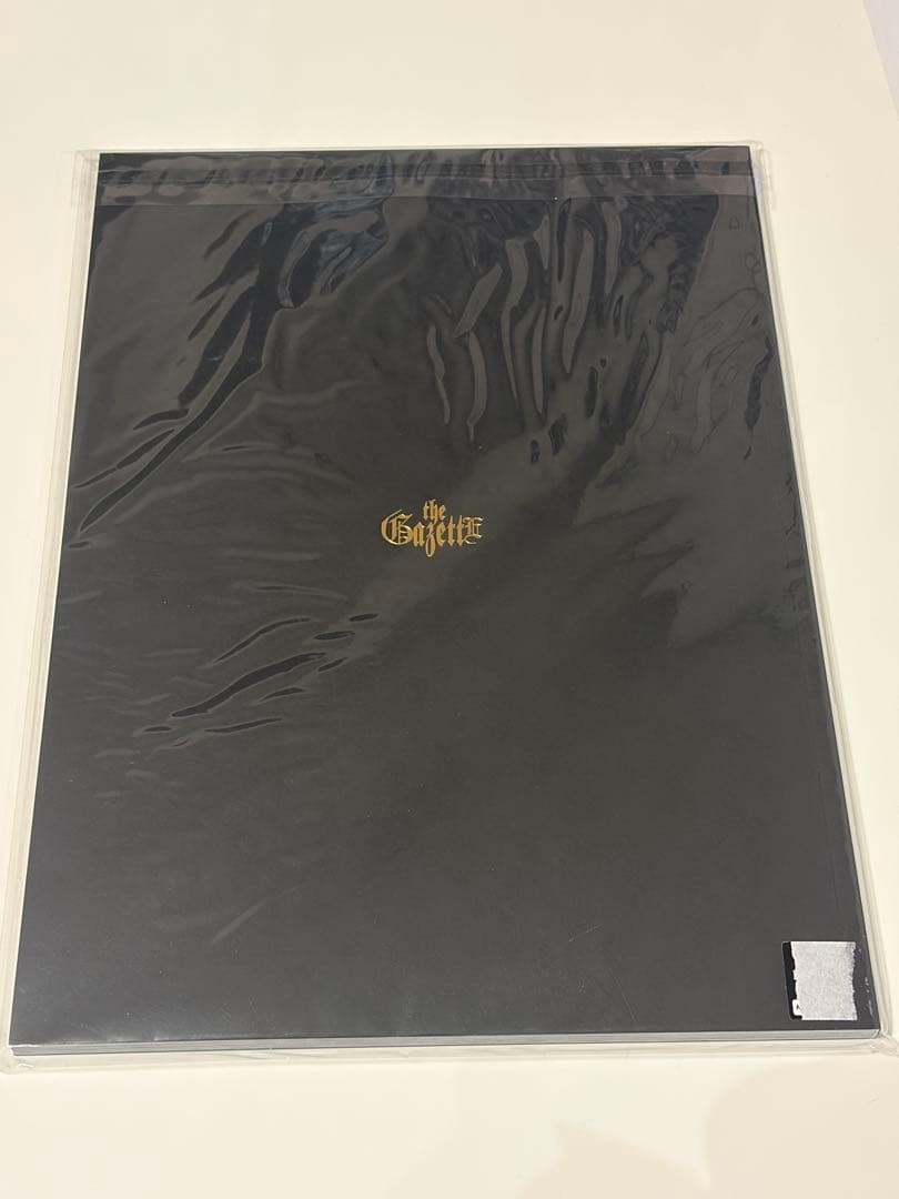 the GazettE 20周年 HERESY限定パンフレット