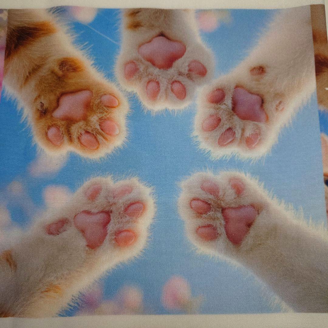 オーダー用猫ちゃんパネルサンプルページ 九