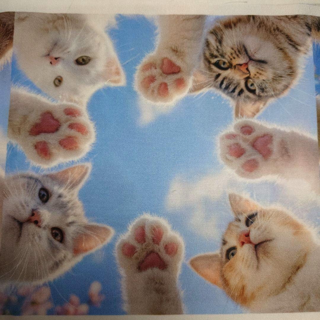 オーダー用猫ちゃんパネルサンプルページ 九