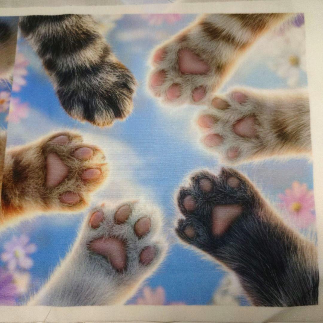 オーダー用猫ちゃんパネルサンプルページ 九