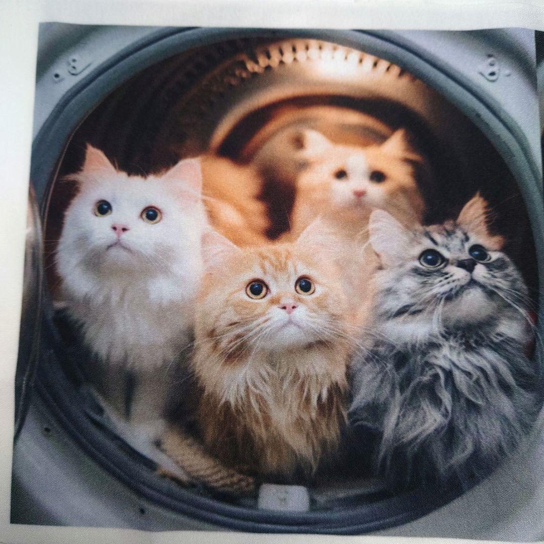 オーダー用猫ちゃんパネルサンプルページ 九