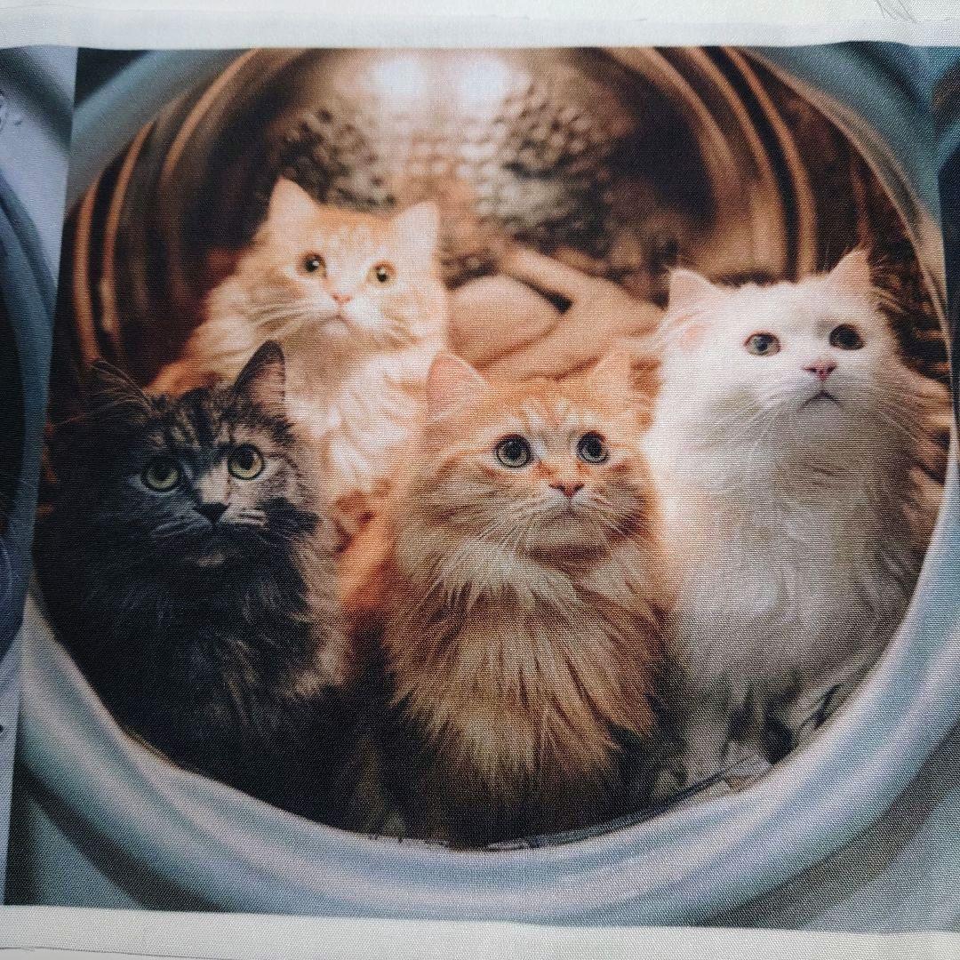 オーダー用猫ちゃんパネルサンプルページ 九