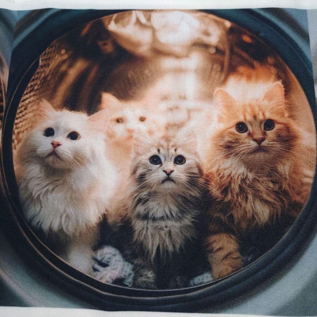 オーダー用猫ちゃんパネルサンプルページ 九